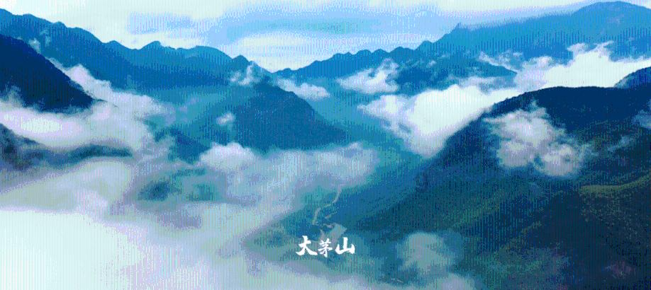 勇敢的心世界大战